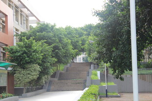 广医校园林荫小道与阶梯