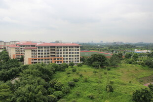 广医绿树环绕中的大型建筑