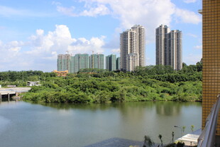 广医河畔高楼与葱郁景致