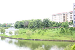 广医河畔绿意盎然的建筑风景