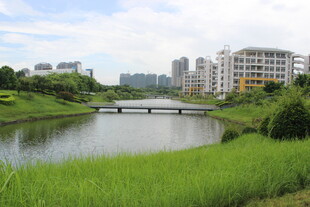 广医河畔城市风景