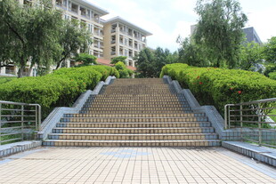 广医校园石阶与绿植景观