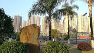 城市公园景观中的特色石雕