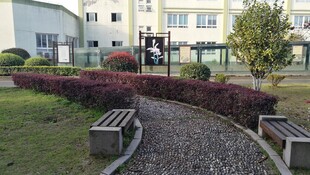 校园小径旁的绿植与长椅