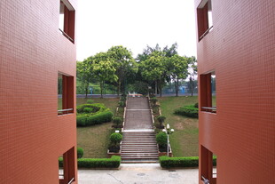 透过红门望庭院绿植