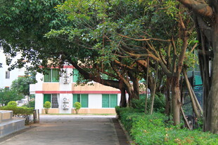 林荫下的小屋与小径