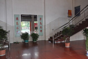 室内大厅绿植与楼梯景致