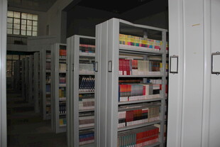 图书馆内的书架陈列