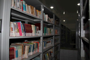 图书馆内整齐排列的书架