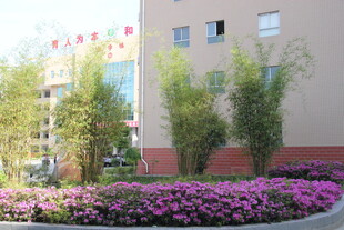 楼前繁花绿树景致美