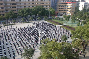 大型集会现场人群整齐排列