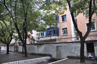 街边居民楼与绿树景观