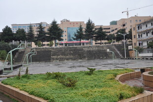 城市中的绿地与建筑景观