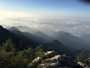 泰山山巅云海壮丽景观