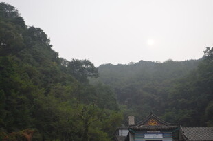 泰山山林间的隐秘小屋