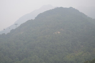 泰山雾中葱郁山峰