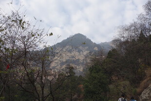 泰山山间景色 山林与远处山峰
