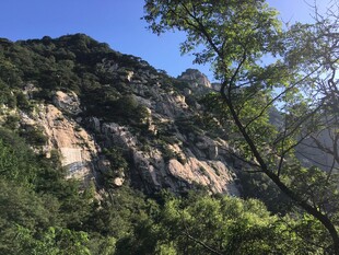 泰山青山绿树间的壮丽山景