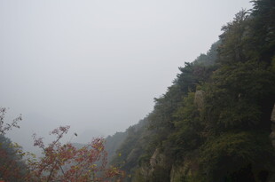 泰山山间雾景 植被繁茂