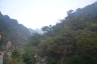 泰山山间绿意盎然的秀丽景致