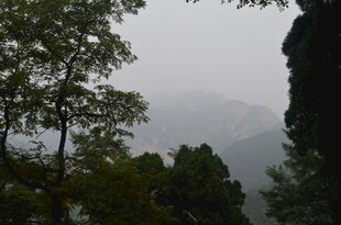 泰山山林雾景 静谧自然风光