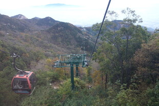 泰山山间缆车穿梭于葱郁山林