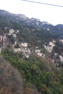 泰山山峦葱郁的自然风光