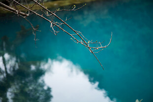 荔波清澈蓝湖与枝头倒影