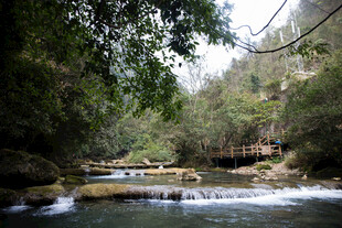 荔波山林间的潺潺溪流美景