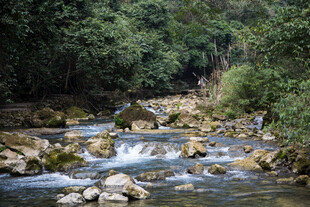 荔波山间溪流 自然清幽之景