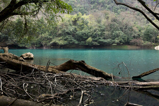 荔波湖畔林间景致