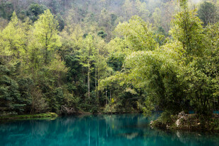 荔波翠绿山林间的幽蓝湖水