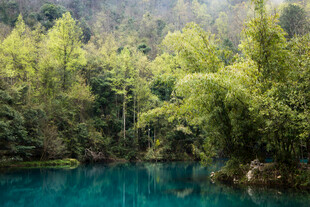 荔波翠绿山林间的幽蓝湖水
