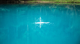 荔波清澈蓝水中的白色物体