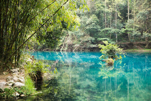 荔波清幽竹林中的澄澈蓝潭
