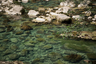 荔波清澈溪涧中的多彩石块