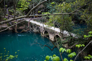 荔波森林中横跨碧湖的石桥