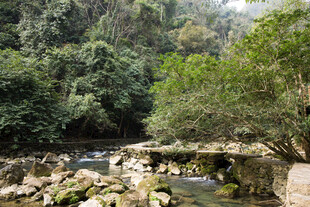 荔波山间溪流石桥 自然景致