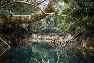 荔波丛林中的静谧清澈水域