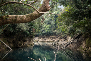 荔波静谧丛林中的清幽河流