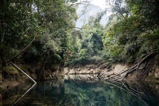 荔波静谧山林中的清澈幽潭