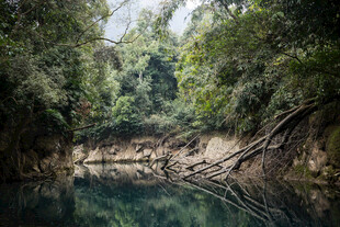 荔波静谧山林中的清幽水面