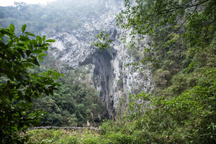 荔波山林间的奇峰异景