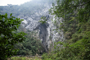 荔波山间瀑布隐于葱郁绿树