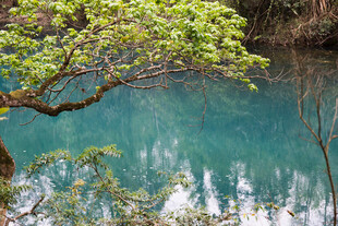 荔波山间幽潭映翠树
