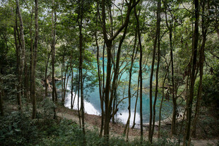 荔波林间碧水 自然清幽景致