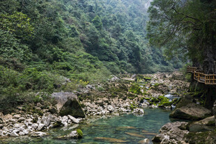 荔波山间清澈溪流 绿意盎然
