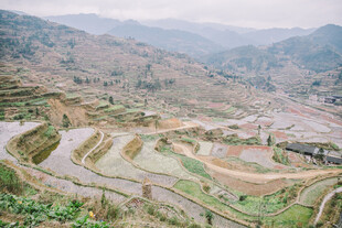 山间梯田村落美景