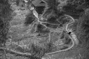 蜿蜒山路间的徒步者