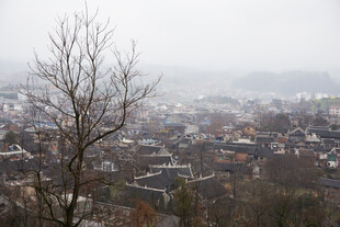 千户苗寨雾中城镇 萧瑟树木景观